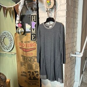 J. Jill Women’s Small Petite Striped, Long Sleeve Dress in Grey & Blue